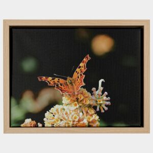 546F-221G Baklijst Neroro Stretto - Canvaslijst - Zwart met goud, 20x25cm